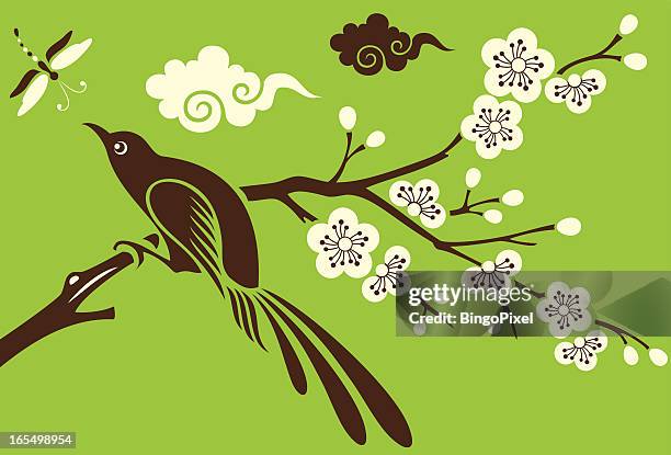 bird, dragonfly & cherry blossom - magpie stock illustrations