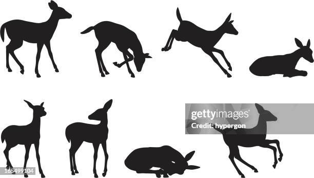 illustrations, cliparts, dessins animés et icônes de jeune collection de silhouette de cerf - famille du cerf