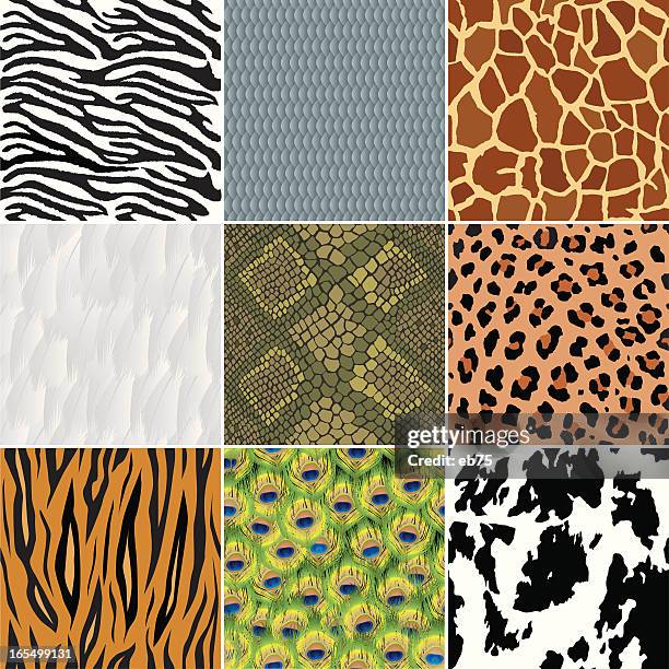 illustrazioni stock, clip art, cartoni animati e icone di tendenza di animale senza soluzione di continuità sfondi (sfondo - animal pattern