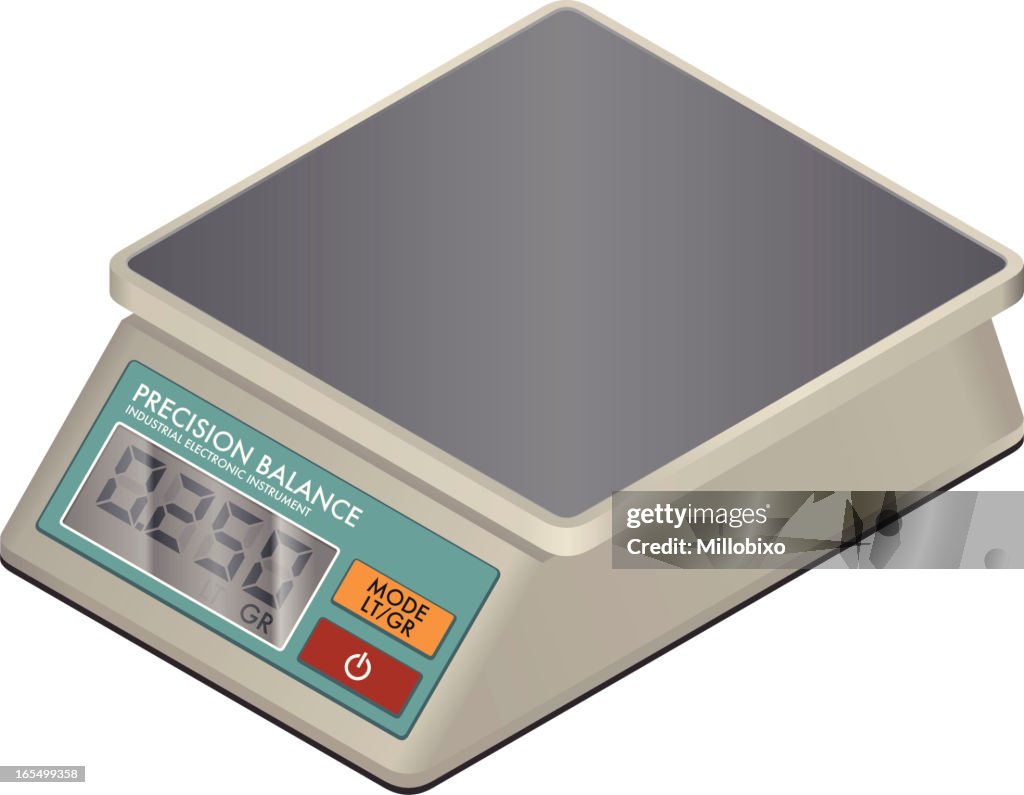 Precision balance