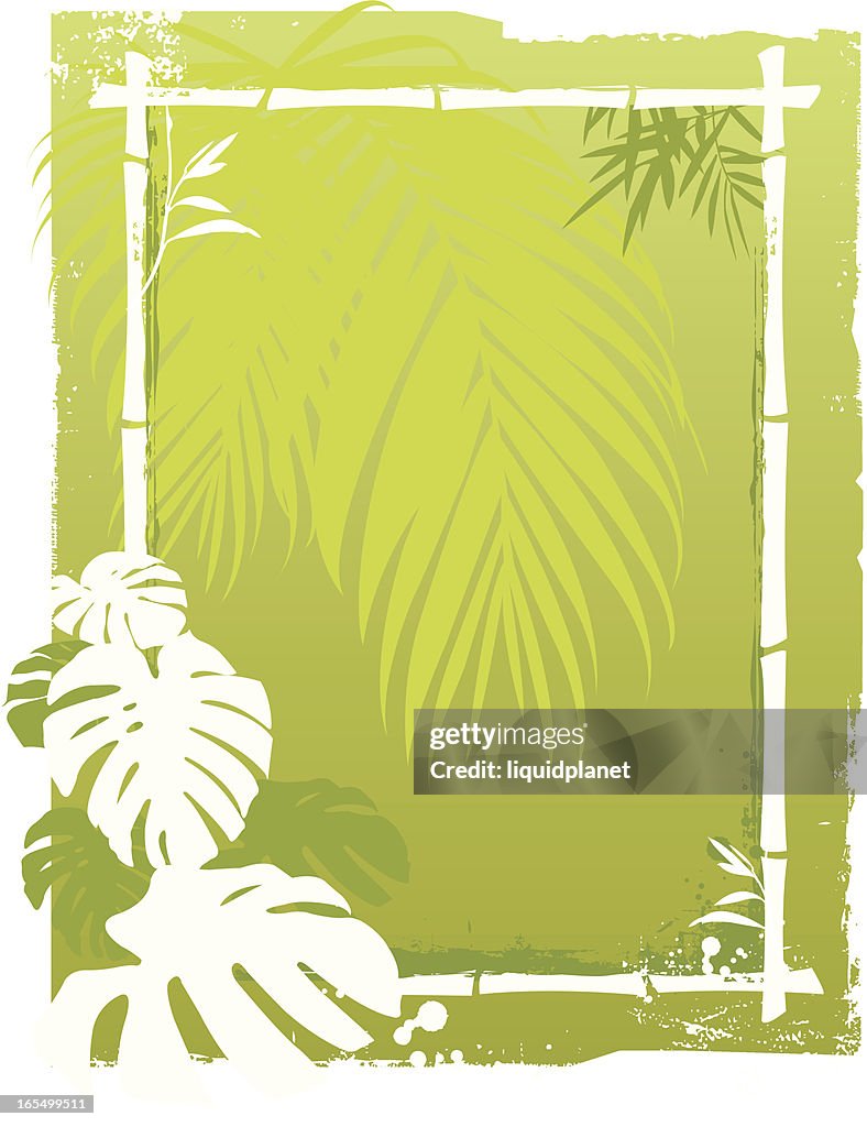 Palm background