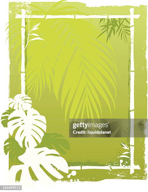 palm background - philodendron stock illustrations