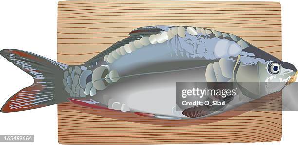 550点の鯉イラスト素材 Getty Images