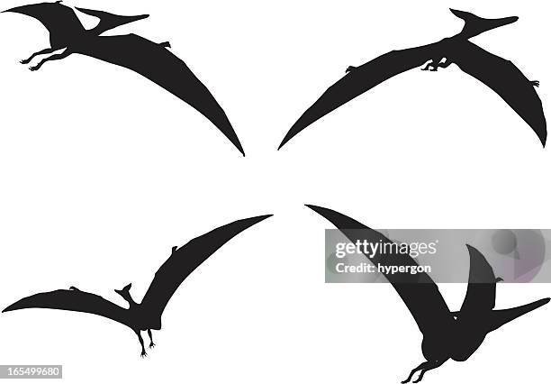 634 Pterodactyl Stock Photos, High-Res Pictures, and Images
