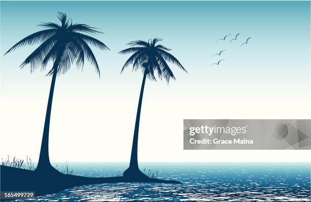 bildbanksillustrationer, clip art samt tecknat material och ikoner med palm tree on beach - vector - acapulco shore