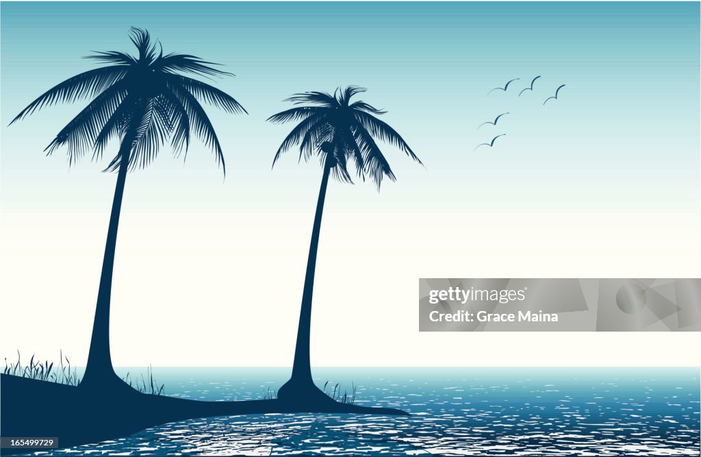Palm tree on beach - VECTOR