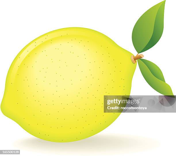 89 Lemon Peel Illustration High Res Illustrations - Getty Images