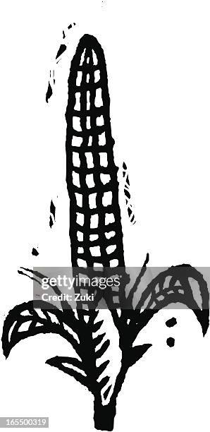 corn - corn grain stock illustrations