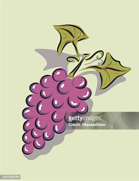 ilustraciones, imágenes clip art, dibujos animados e iconos de stock de rojo ramo de uvas. - oporto