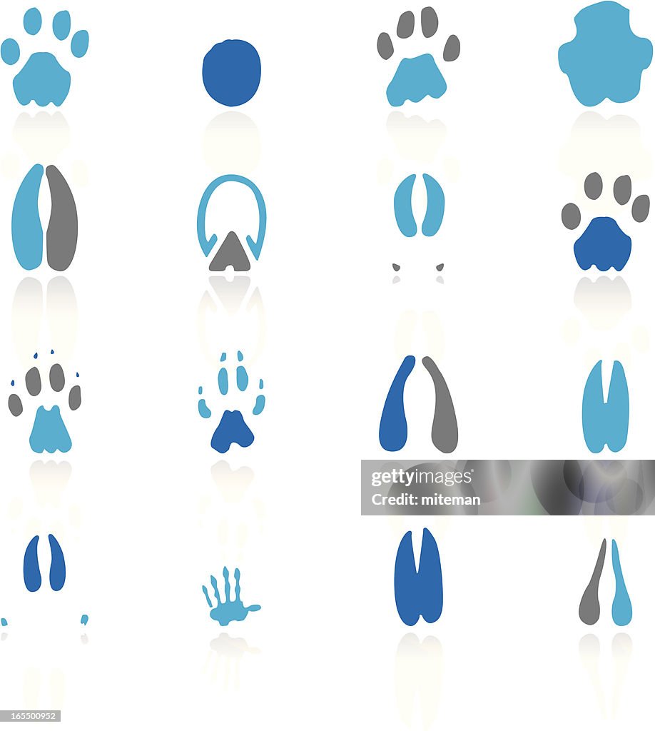 Africa | Arctic Collection