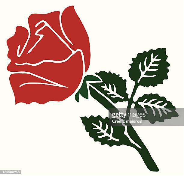 stockillustraties, clipart, cartoons en iconen met red rose - enkele roos