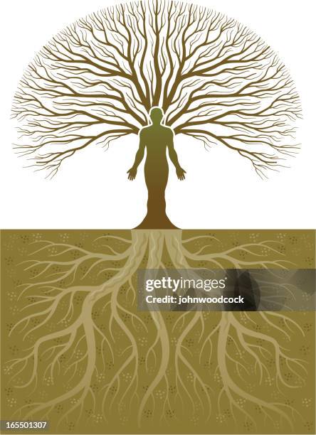 Men Tree Roots 46 Treeman Stock Photos, High-Res Pictures, and Images - Getty Images