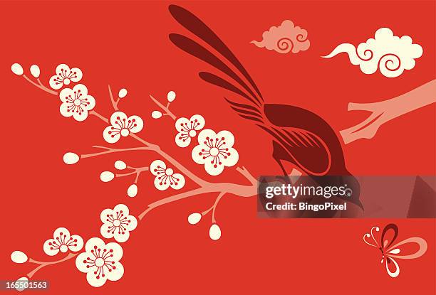 bildbanksillustrationer, clip art samt tecknat material och ikoner med cherry blossom, bird & butterfly - plommonträdsblommor