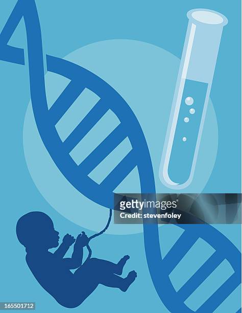 test tube baby - 26 week fetus stock illustrations