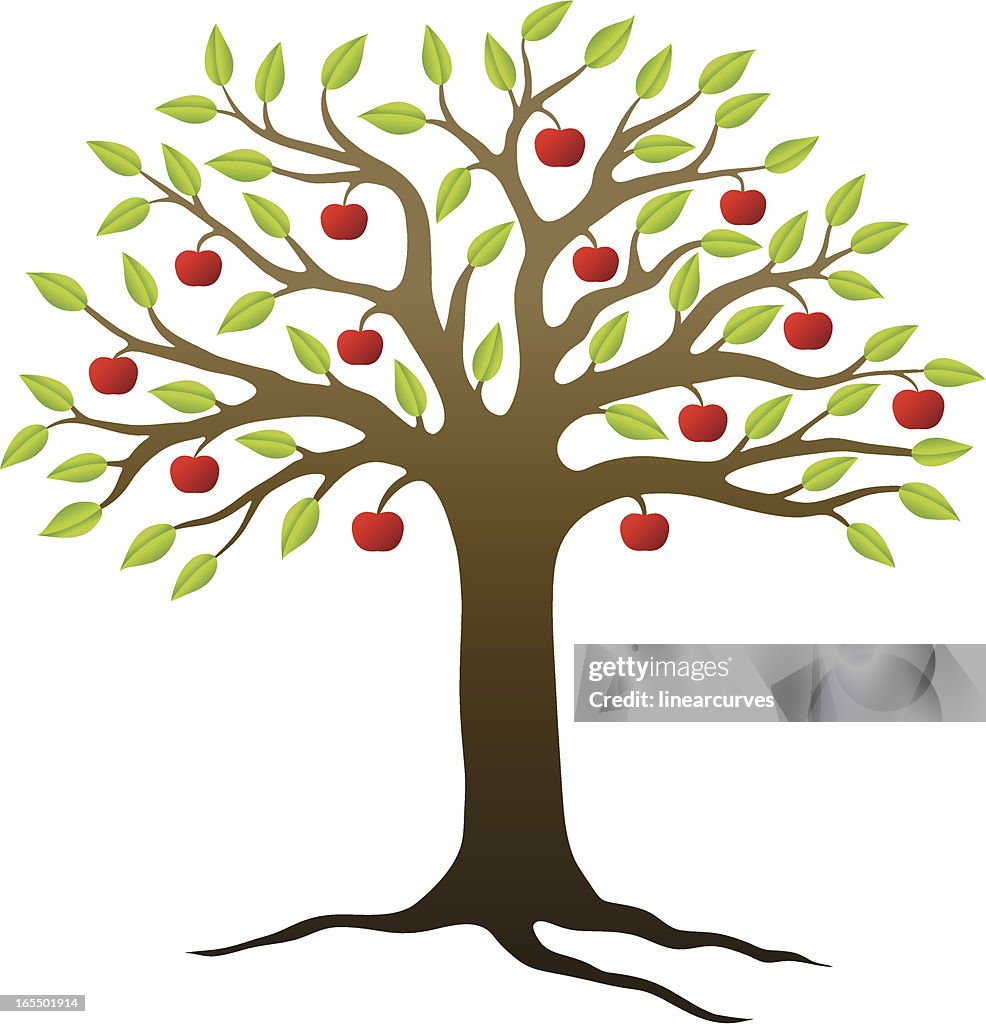 Apple tree
