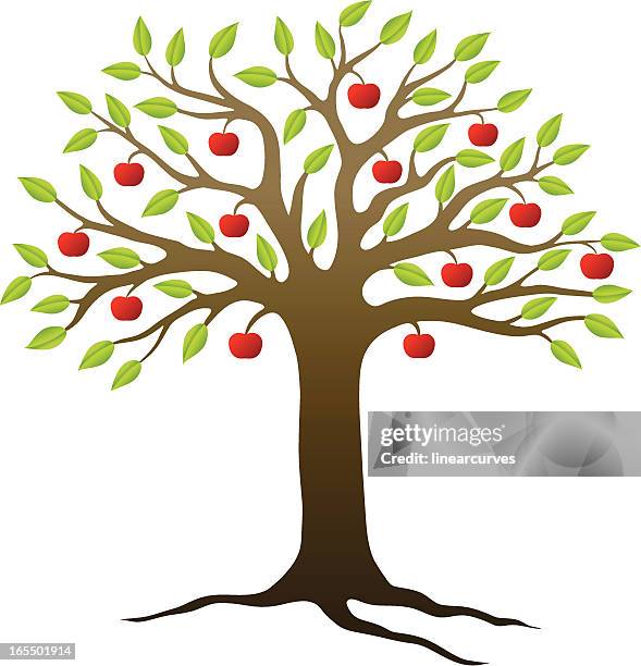 apple tree - apple tree stock illustrations