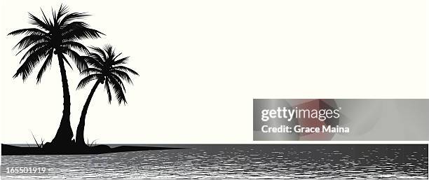 palm tress - vector - frond stock illustrations