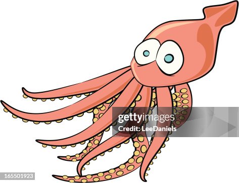 Squid Cartoon Squid Cartoon