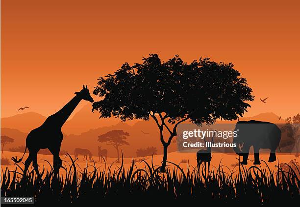 safari-motiv - kudu stock-grafiken, -clipart, -cartoons und -symbole