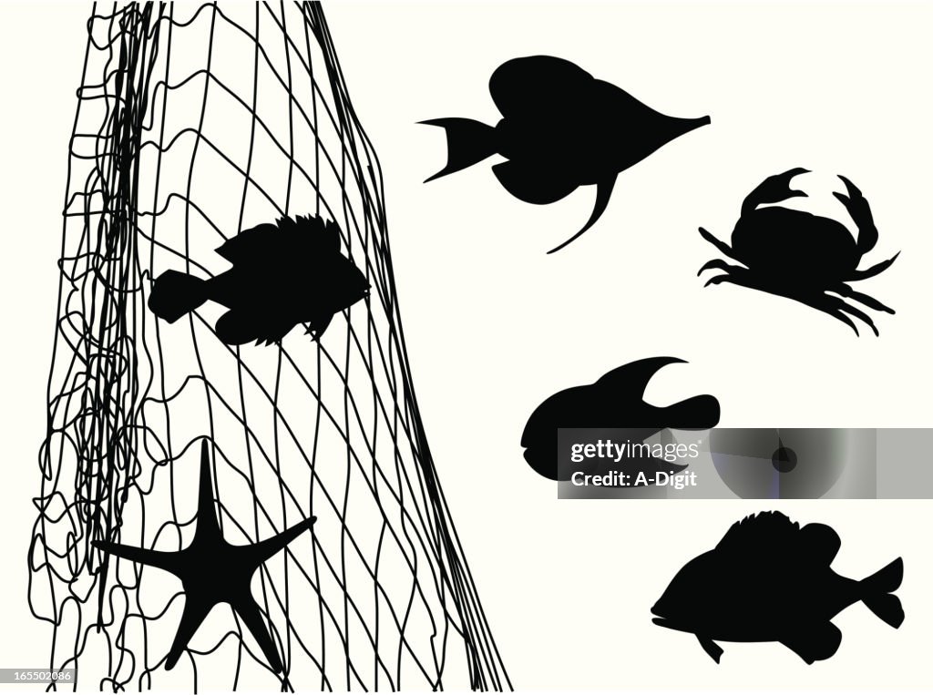 FishNet'mCritters