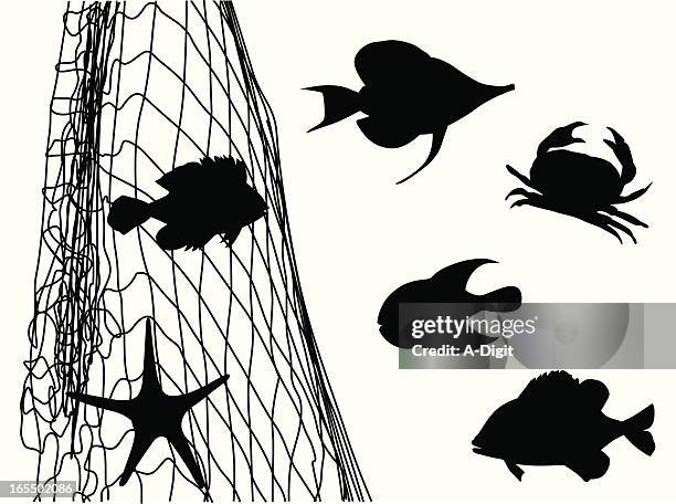 stockillustraties, clipart, cartoons en iconen met fish net'n critters vector silhouette - angelfish