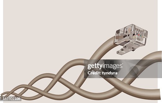 Network Connector Network Connector