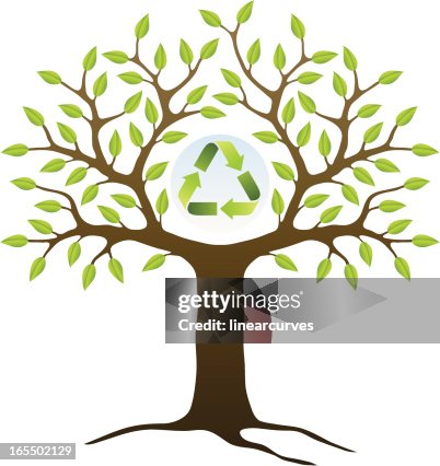 Recycle Tree High-Res Vector Graphic - Getty Images