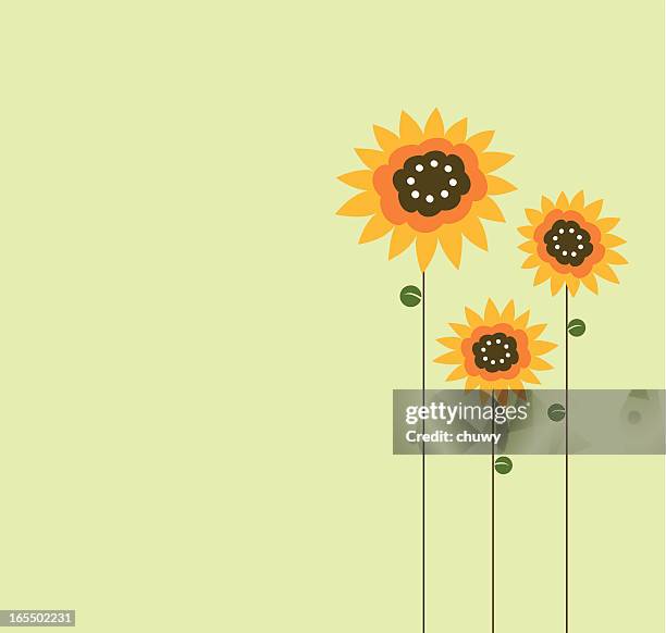 stockillustraties, clipart, cartoons en iconen met three sunflower drawn on left side of green background - zonnebloemen