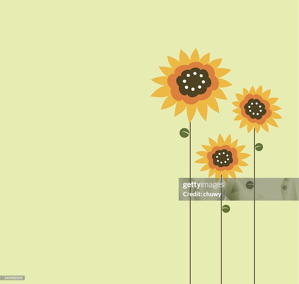 Three Sunflower Drawn On Left Side Of Green Background High-Res Vector  Graphic - Getty Images