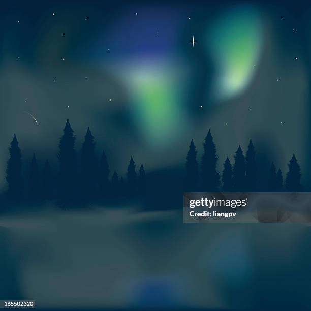 northern light aurora borealis - aurora borealis stock illustrations