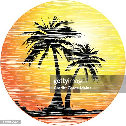 Palm trees - VECTOR Palm trees - VECTOR