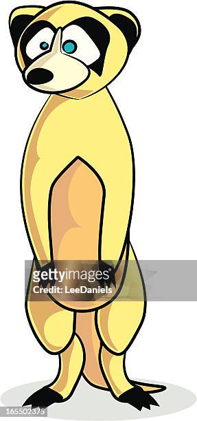 meerkat cartoon - meerkat vector stock illustrations