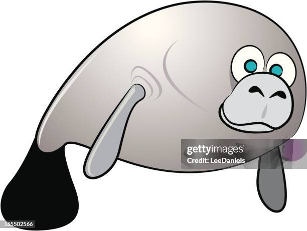 44点のマナティイラスト素材 Getty Images 44点のマナティイラスト素材 Getty Images