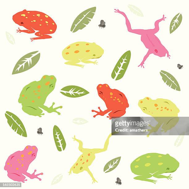 frösche und fliegen - frogs in wetlands stock-grafiken, -clipart, -cartoons und -symbole