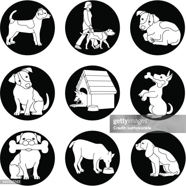 dog - beagle stock illustrations