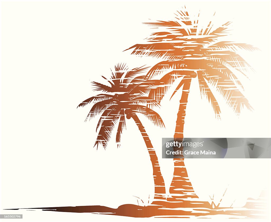 Grungy palm trees - VECTOR