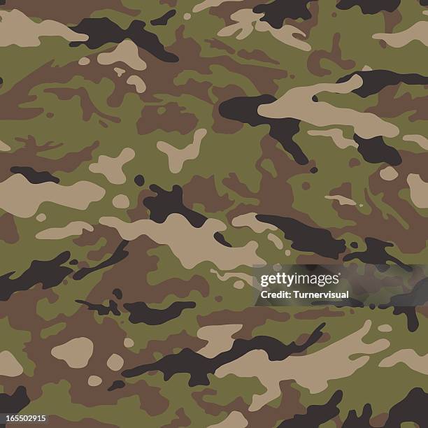 3 007点の米軍イラスト素材 Getty Images 3 007点の米軍イラスト素材 Getty Images