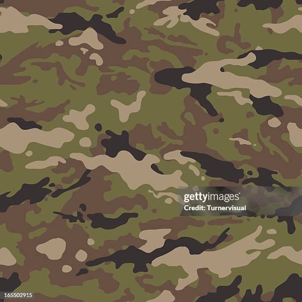 ilustrações, clipart, desenhos animados e ícones de vetor de camuflagem perfeita telhas de vários (nos eua - marines military