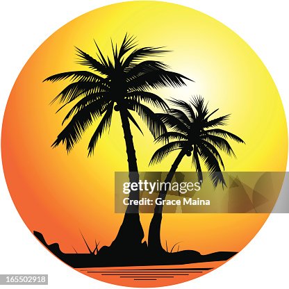Palm tree backgrond - VECTOR Palm tree backgrond - VECTOR