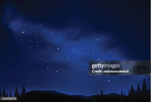 stockillustraties, clipart, cartoons en iconen met starry night - donkerblauw