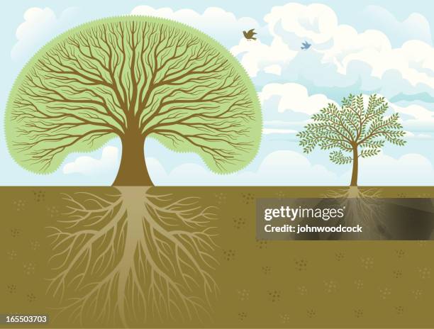 Two Root Tree 565 Family Tree Roots Stock Photos, High-Res Pictures, and Images ...