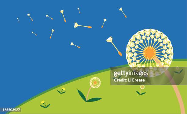 dandelions blowing in the breeze - dandelion blowing stock illustrations