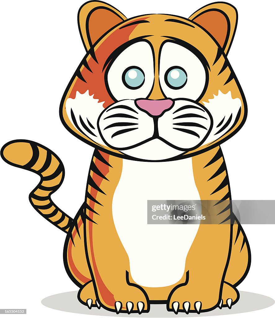 Tiger Rory Cartoon Fluffy Cartoon Tiger