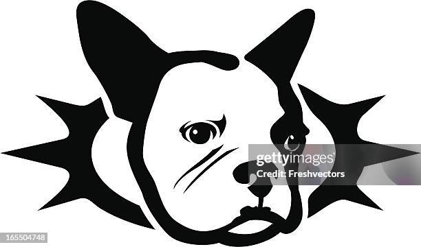 french bulldog superstar icon - boston terrier stock illustrations