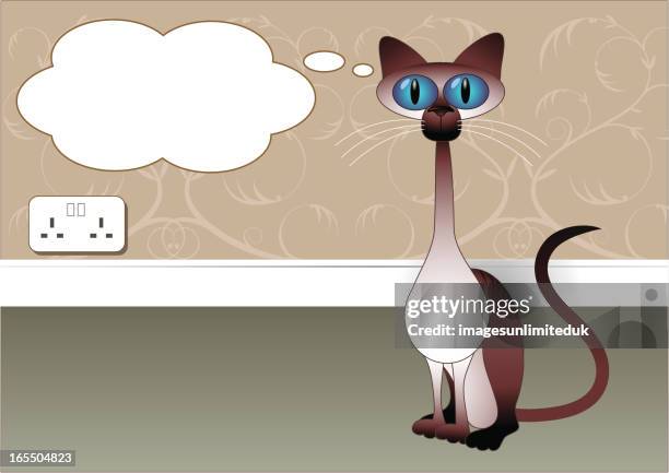 thinking siamese cat - siamese cat stock illustrations