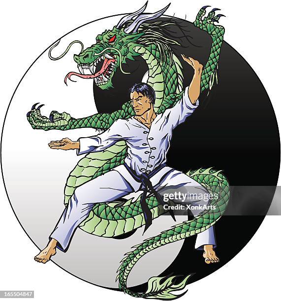 drache kung-fu - karate stock-grafiken, -clipart, -cartoons und -symbole