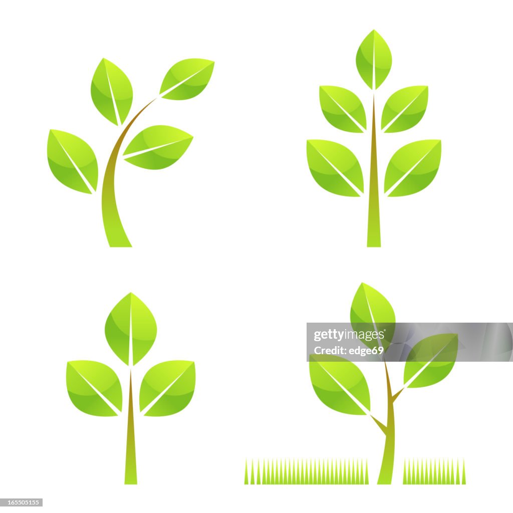 Tree Visual Element Tree Elements High-Res Vector Graphic - Getty Images