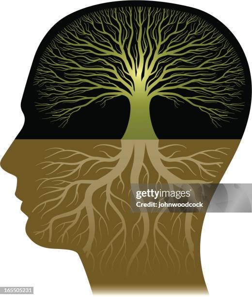 Tree Inside Head 52,804 Tree Head Concept Stock Photos, High-Res Pictures, and Images ...
