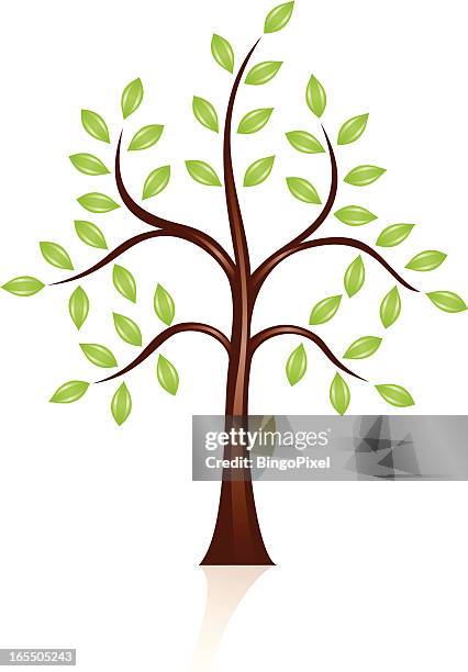 green tree sapling - sapling stock illustrations