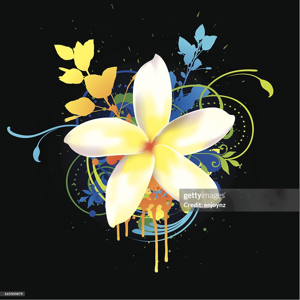 Tropical flower
